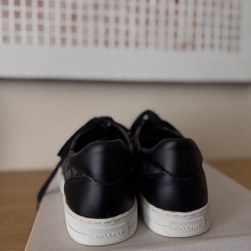 Coach Canvas Paddy Signa. Logo Sneakers - Picture 7 of 10